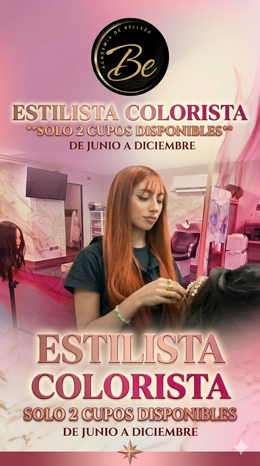 Estilista Integral | Mención Colorimetría